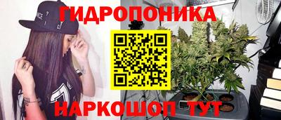 круглые Ставрополь