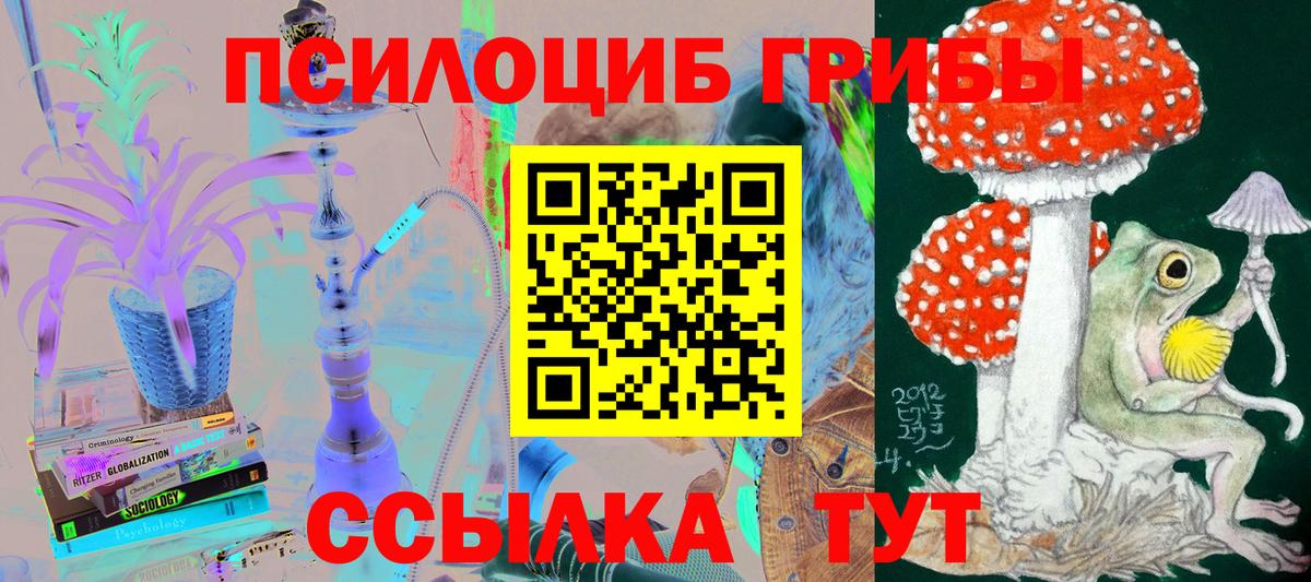 Отрадный  где можно купить наркотик  Вход с VPN  Галлюциногенные грибы MAGIC MUSHROOMS 