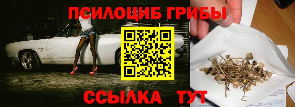 Галлюциногенные грибы мицелий Отрадный